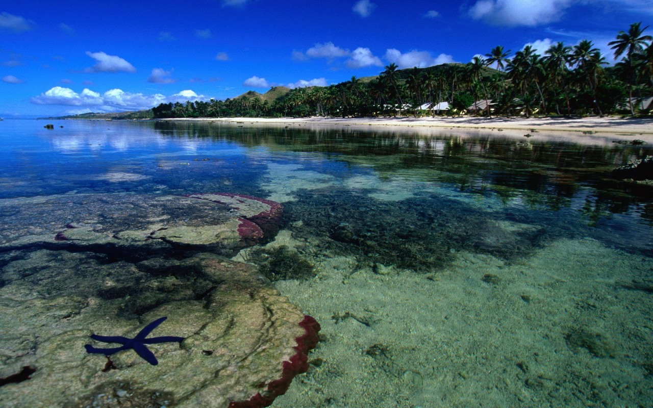 斐济岛的魅力之旅，经典四日游 - 斐济游记攻略【携程攻略】